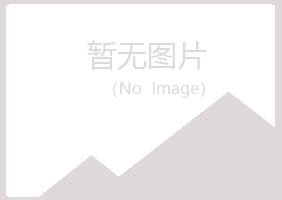 富县山柏建设有限公司